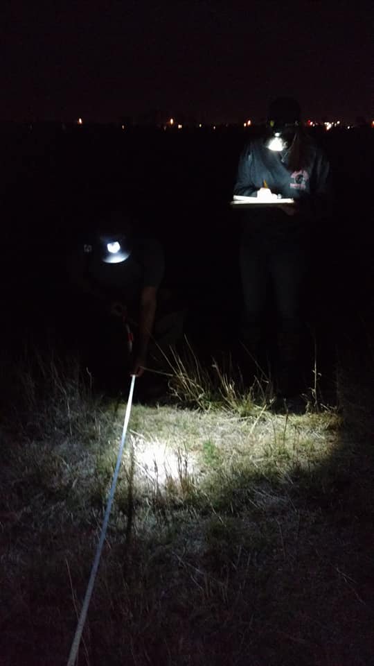 Darby Johns and Jorge Arreola collecting data for distance sampling while spotlighting for cottontails and jackrabbits