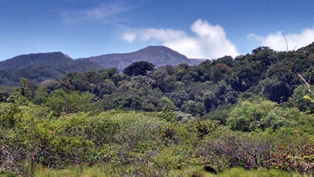  Rincon de La Vieja National Park 2015